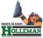 Sofer Profesionist transport agabaritic -Holleman